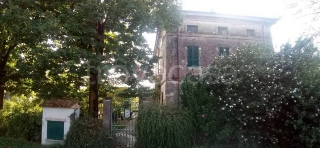 immagine annuncio 4 di 11