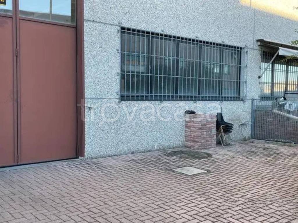 immagine annuncio 7 di 8