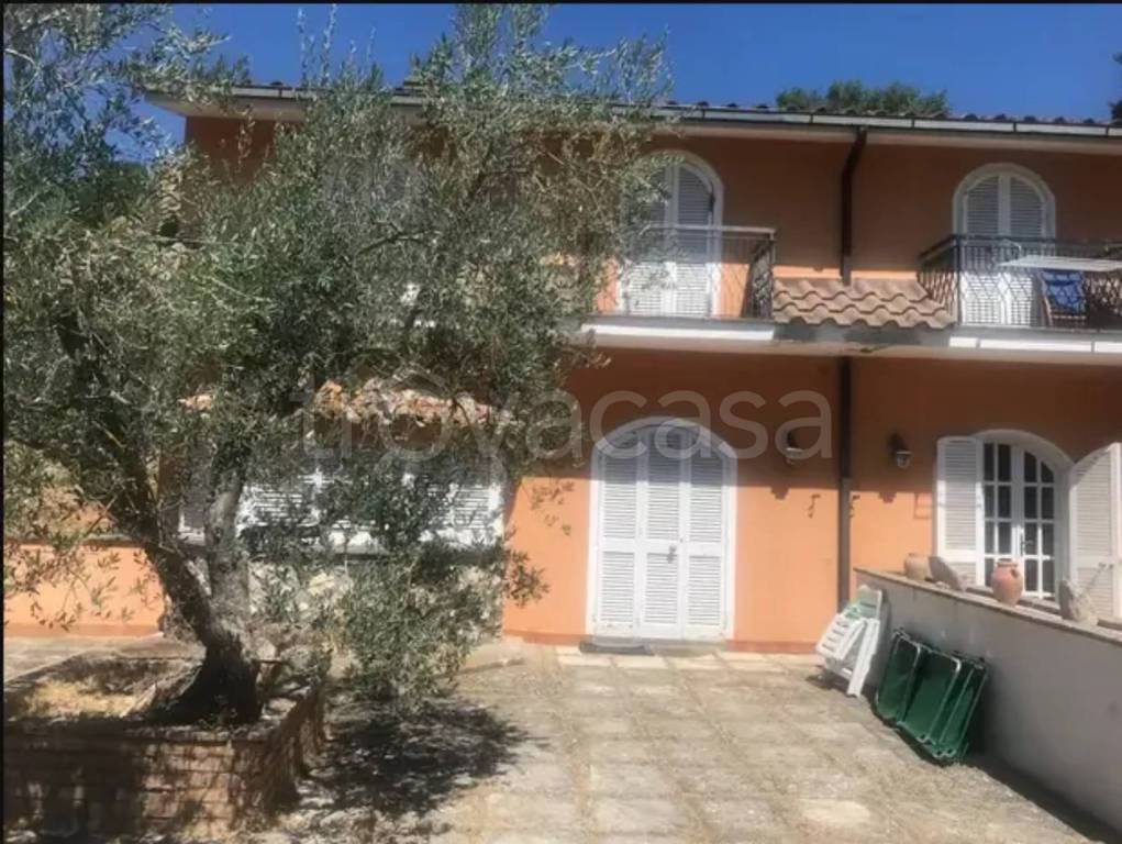 immagine annuncio 5 di 13