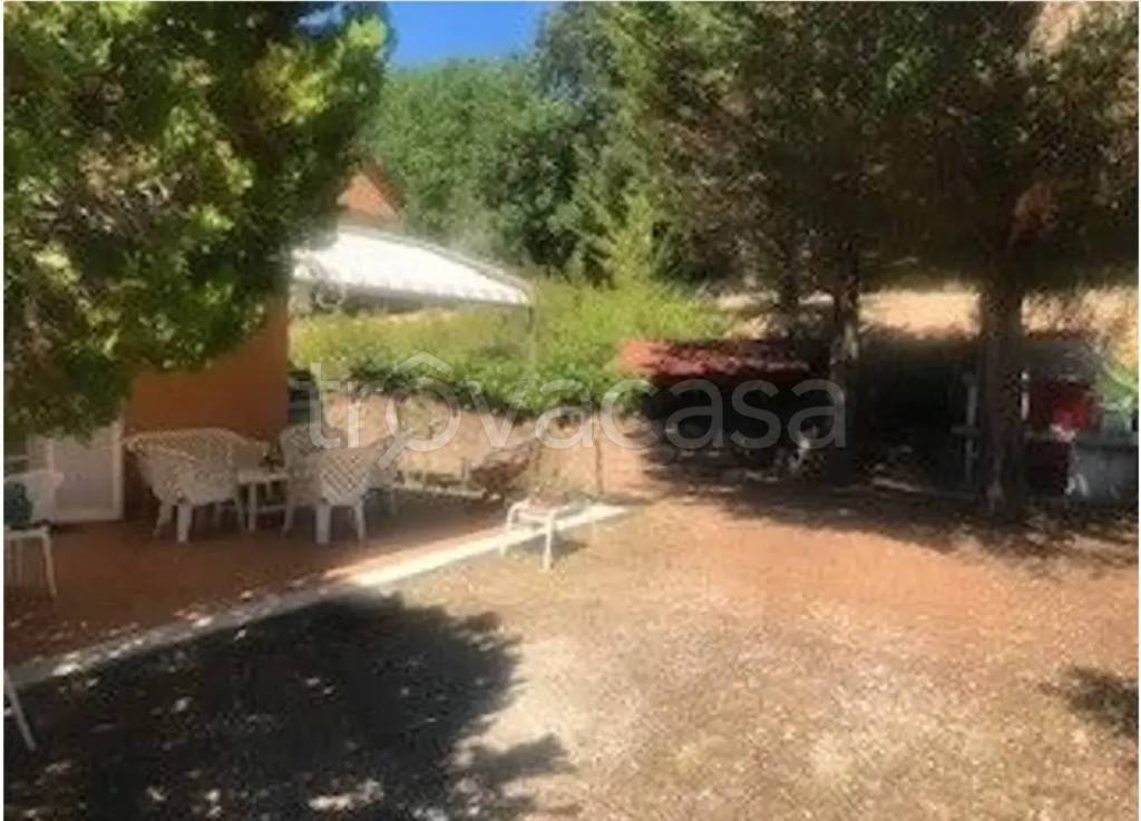 immagine annuncio 10 di 13