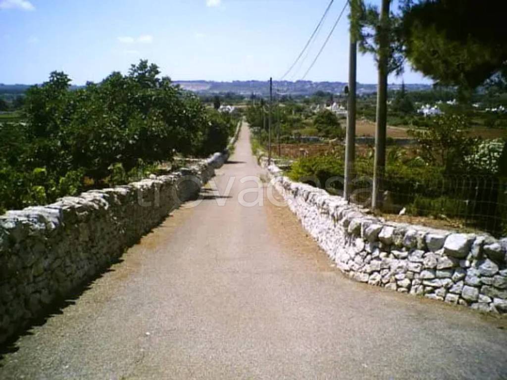 immagine annuncio 6 di 11