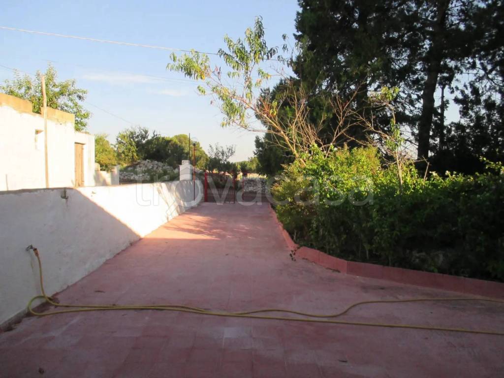 immagine annuncio 10 di 11