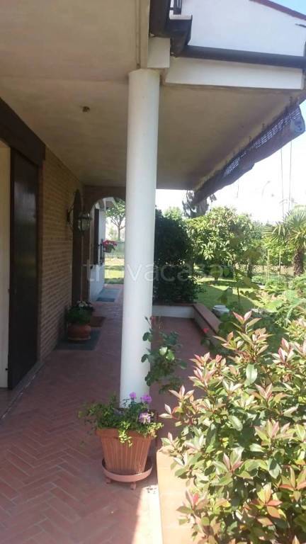 immagine annuncio 1 di 4