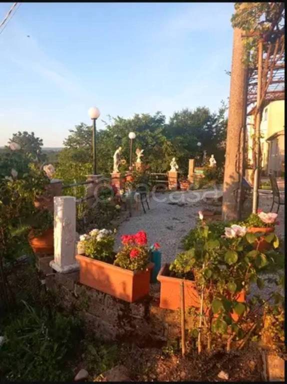 immagine annuncio 4 di 6