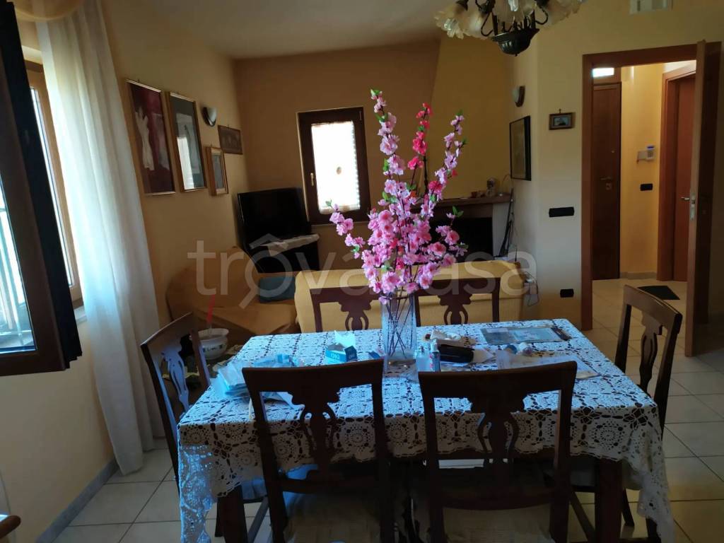 immagine annuncio 7 di 13