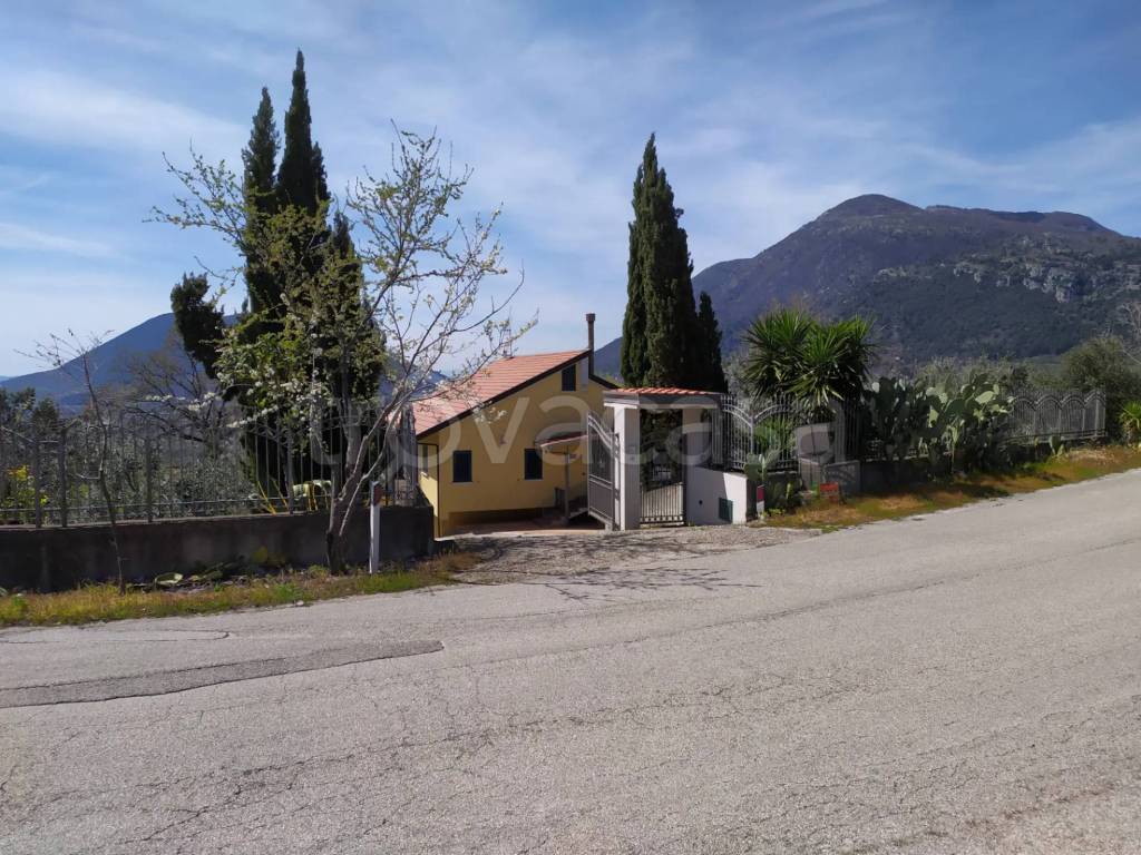 immagine annuncio 12 di 13