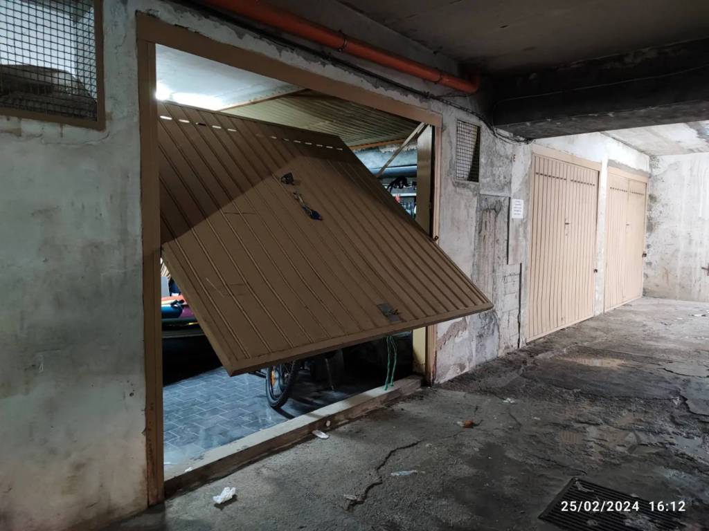 immagine annuncio 5 di 12