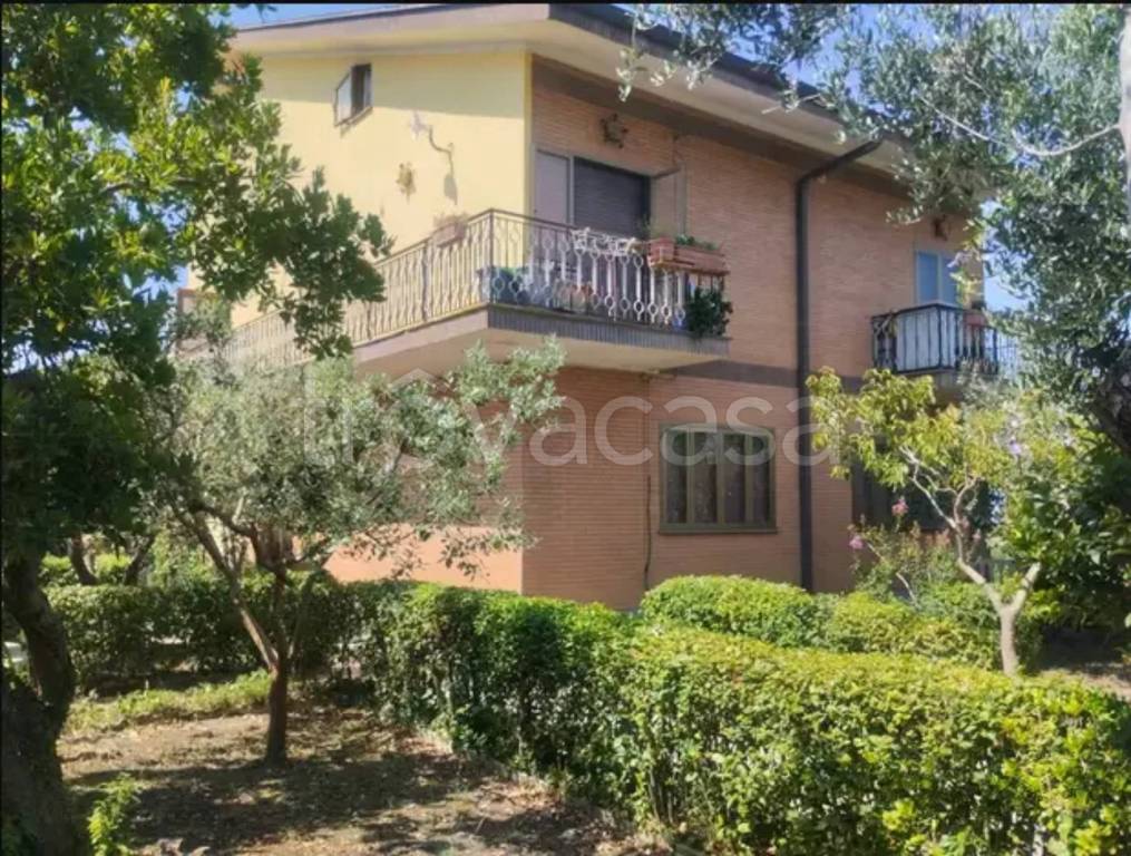 immagine annuncio 2 di 6