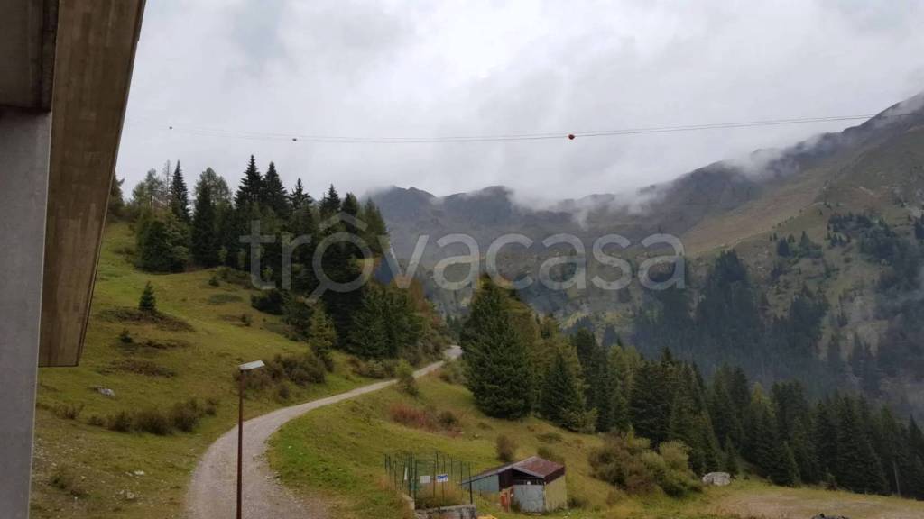 immagine annuncio 4 di 14