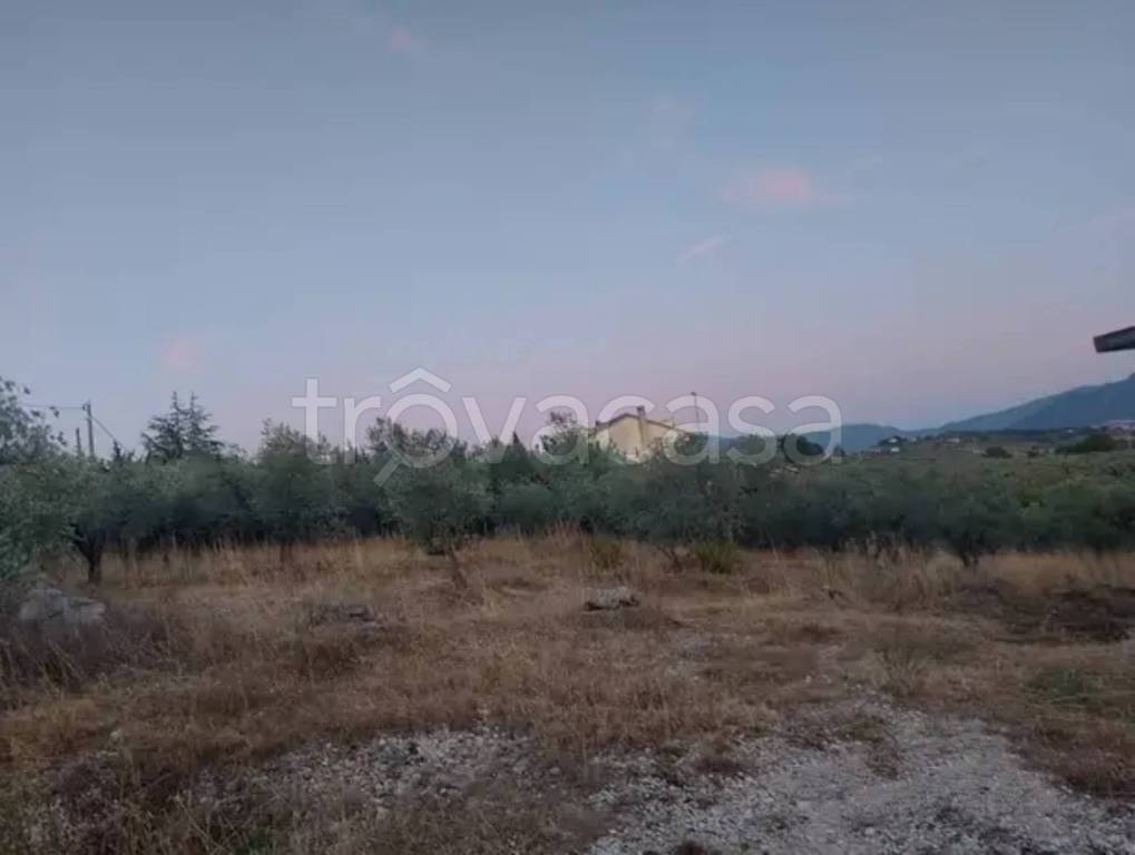 immagine annuncio 2 di 6