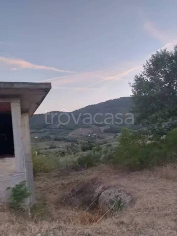 immagine annuncio 4 di 6