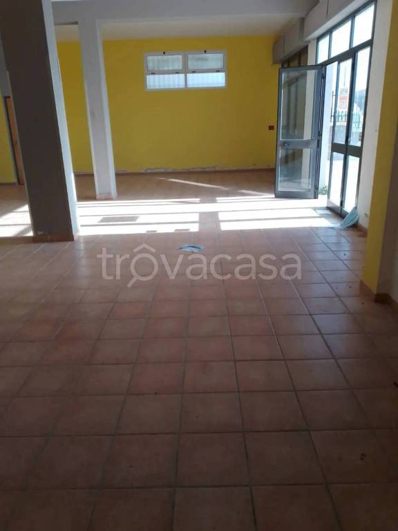 immagine annuncio 5 di 9