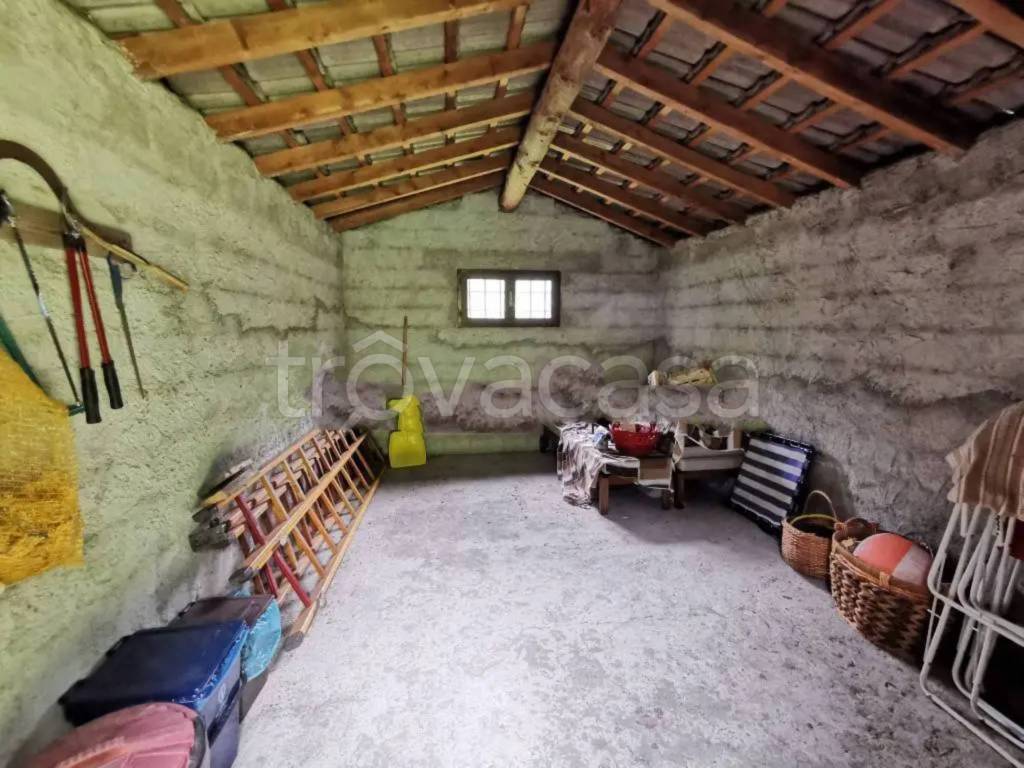 immagine annuncio 7 di 14