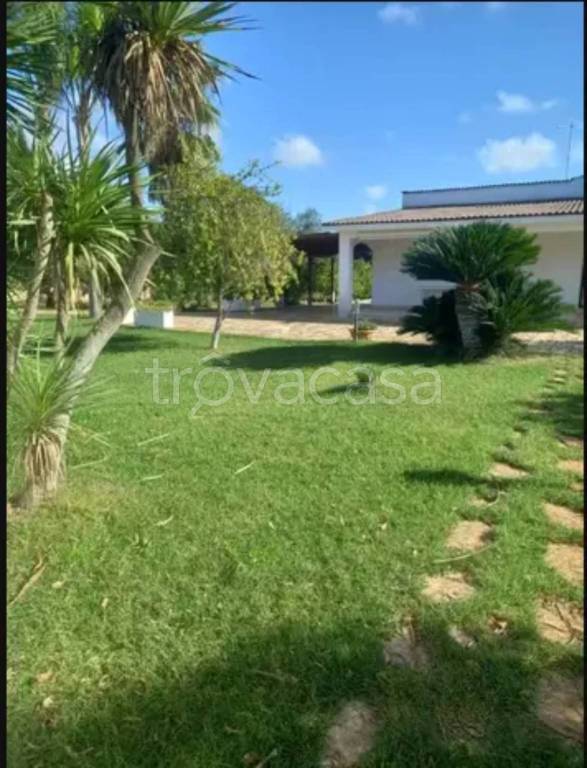 immagine annuncio 3 di 6