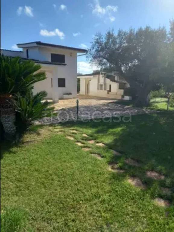 immagine annuncio 4 di 6