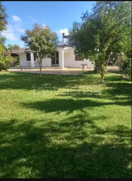 immagine annuncio 5 di 6