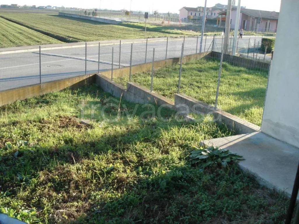 immagine annuncio 3 di 6