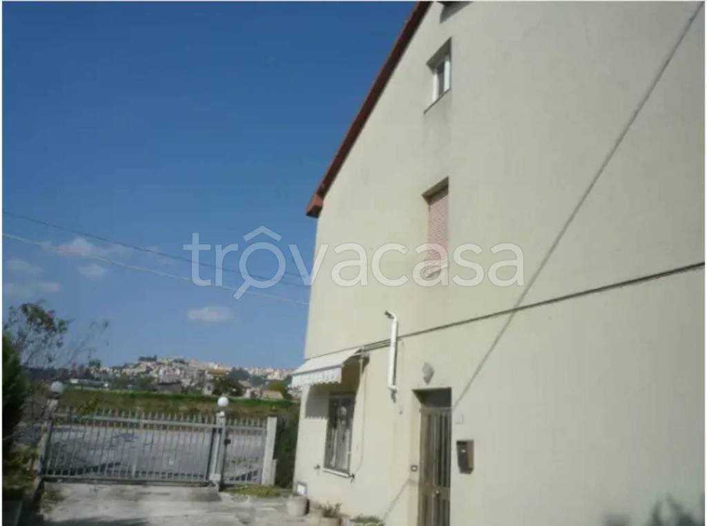 immagine annuncio 3 di 8