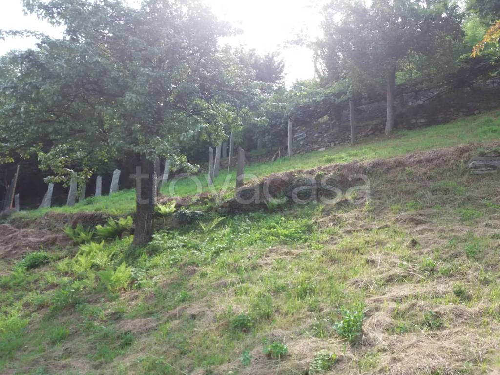 immagine annuncio 11 di 13