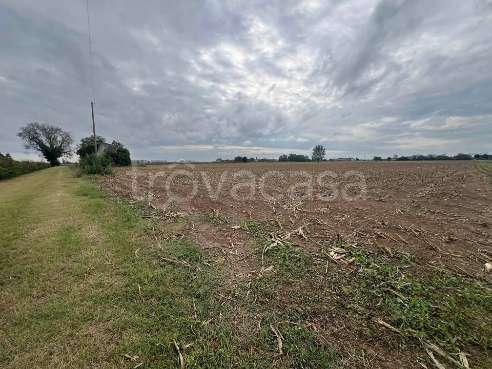 terreno agricolo in vendita a Roncoferraro in zona Nosedole