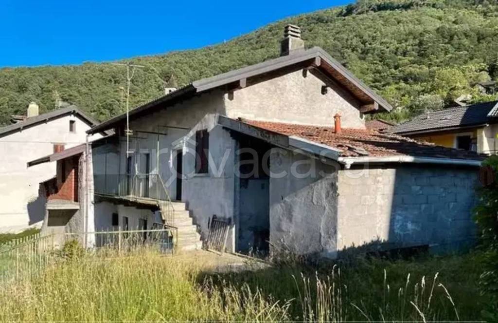 immagine annuncio 1 di 4