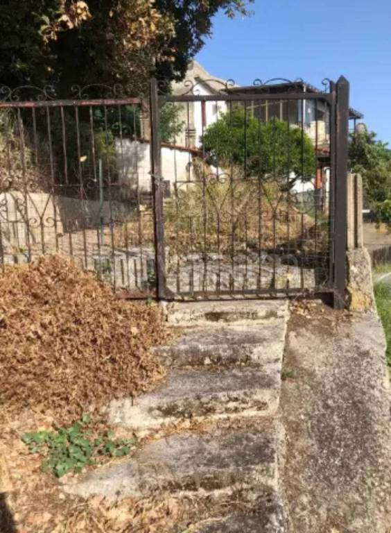 immagine annuncio 6 di 7