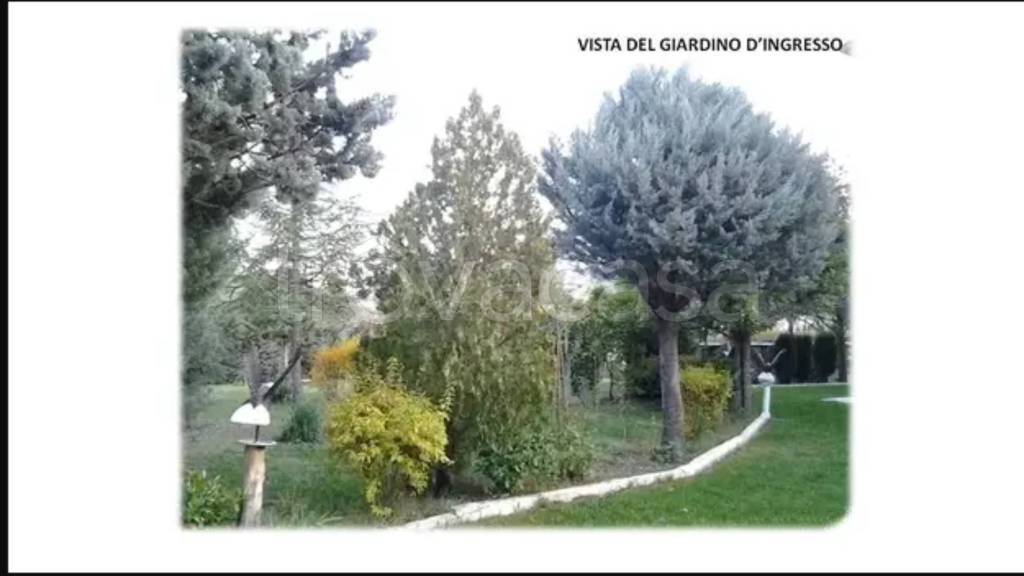 immagine annuncio 2 di 4