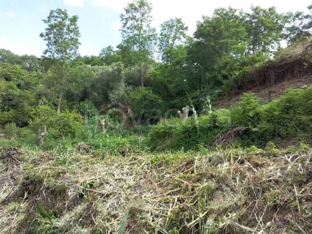 immagine annuncio 4 di 6