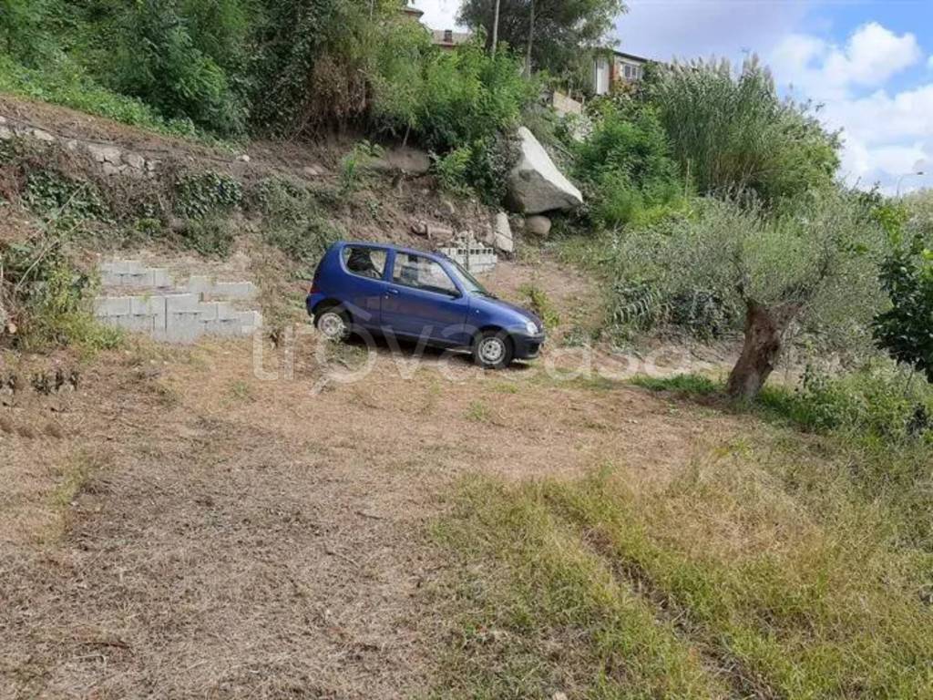 immagine annuncio 5 di 6