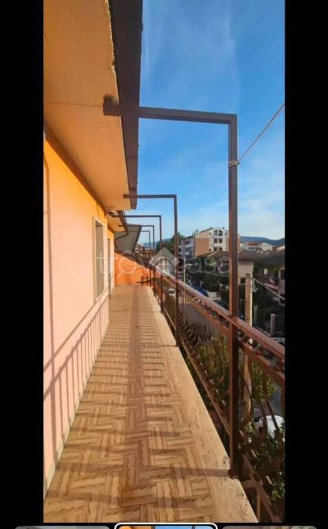 immagine annuncio 10 di 14