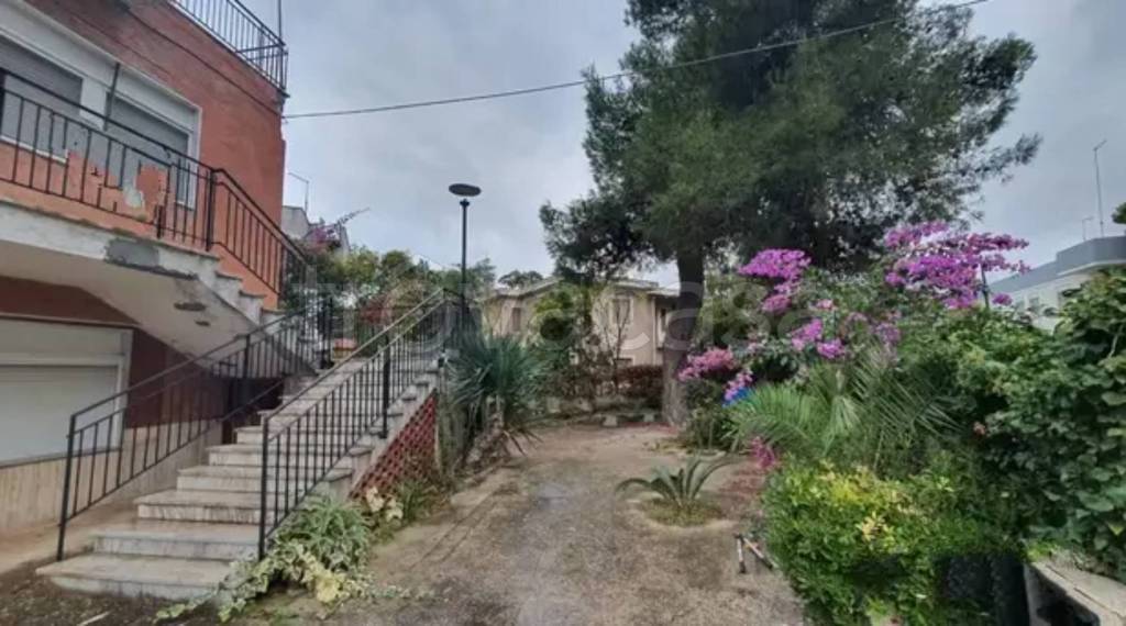 immagine annuncio 3 di 6