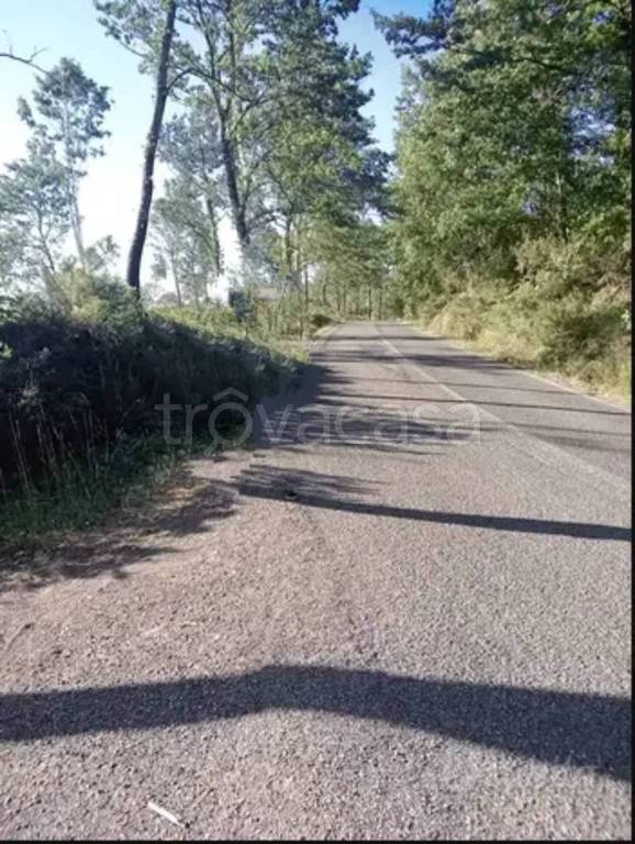 immagine annuncio 4 di 6