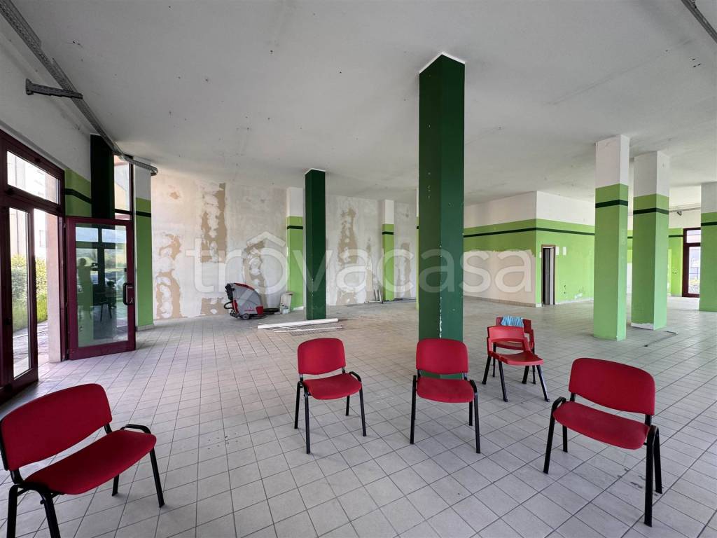 immagine annuncio 2 di 15