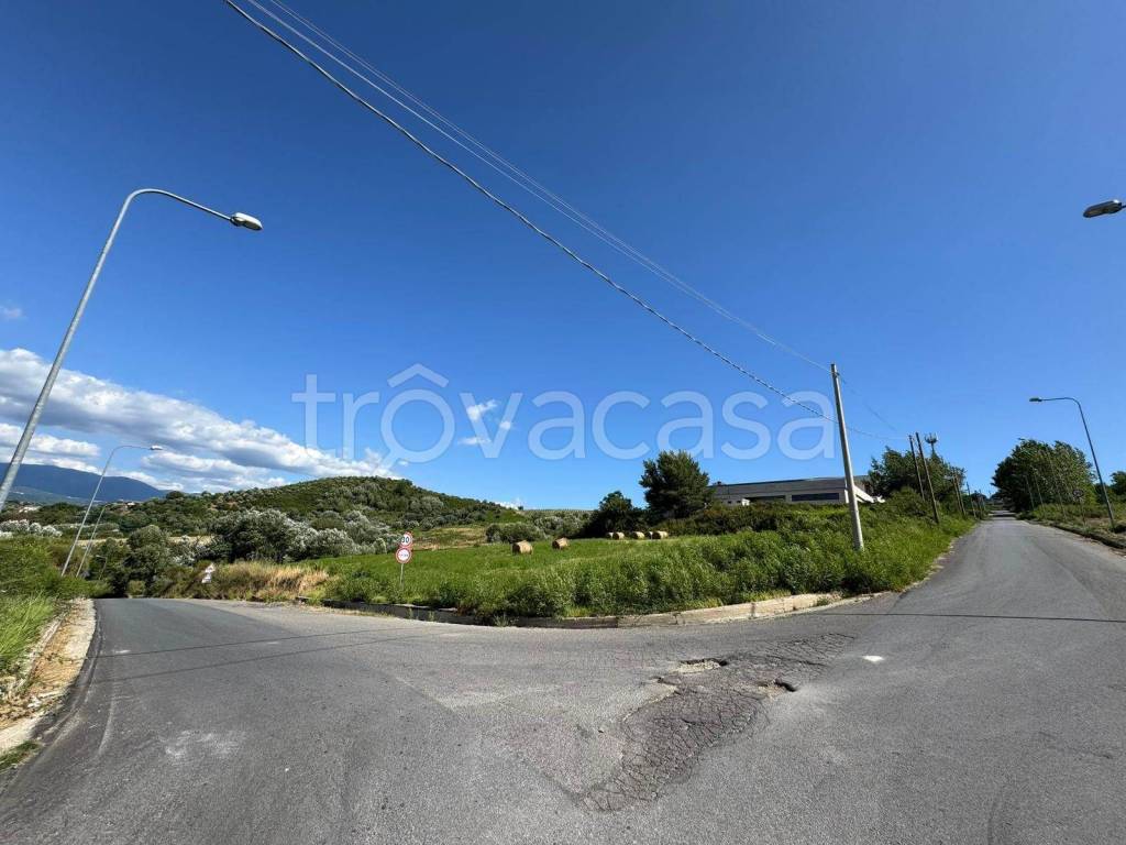 immagine annuncio 2 di 3