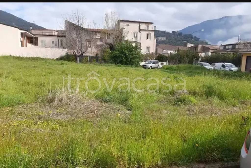 immagine annuncio 5 di 7