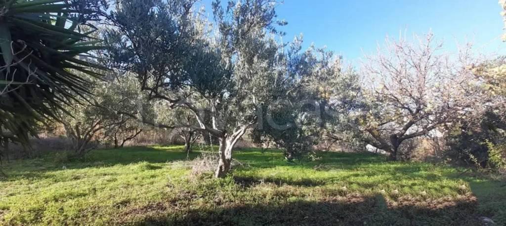 immagine annuncio 3 di 6