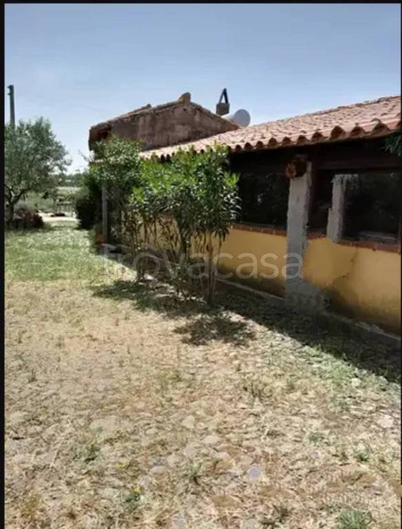 immagine annuncio 4 di 6