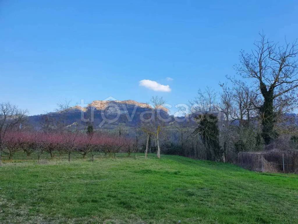 immagine annuncio 4 di 8