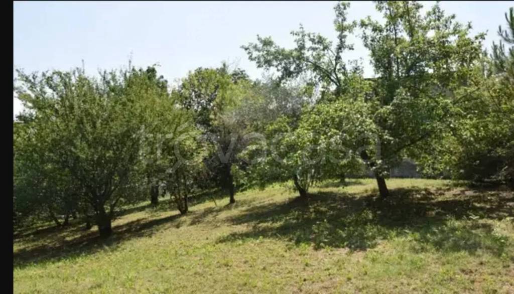 immagine annuncio 5 di 6