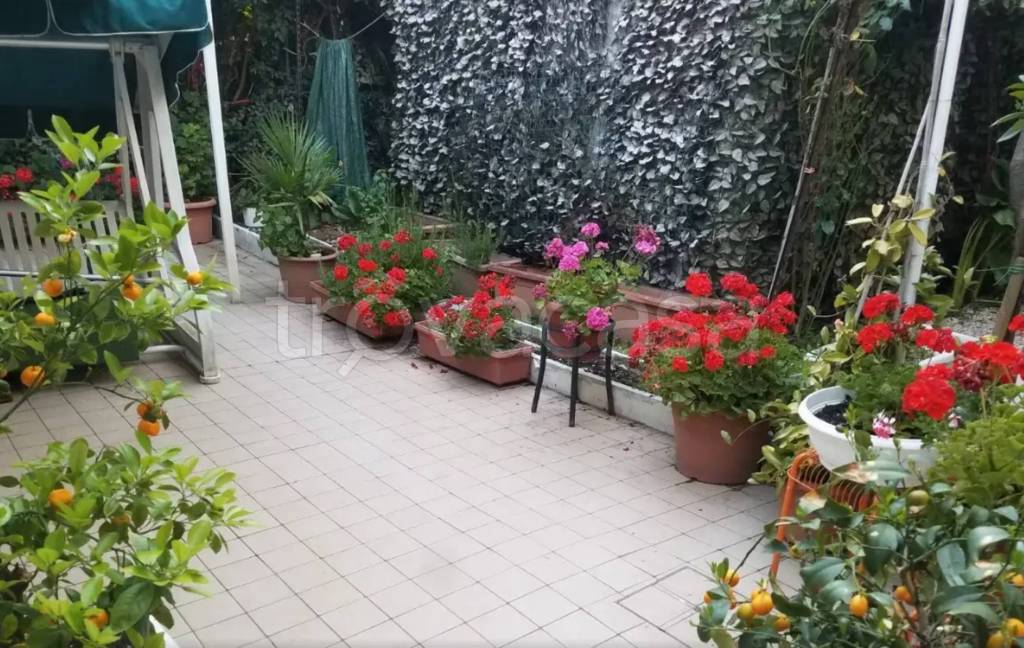 immagine annuncio 5 di 6