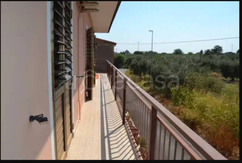 immagine annuncio 5 di 6