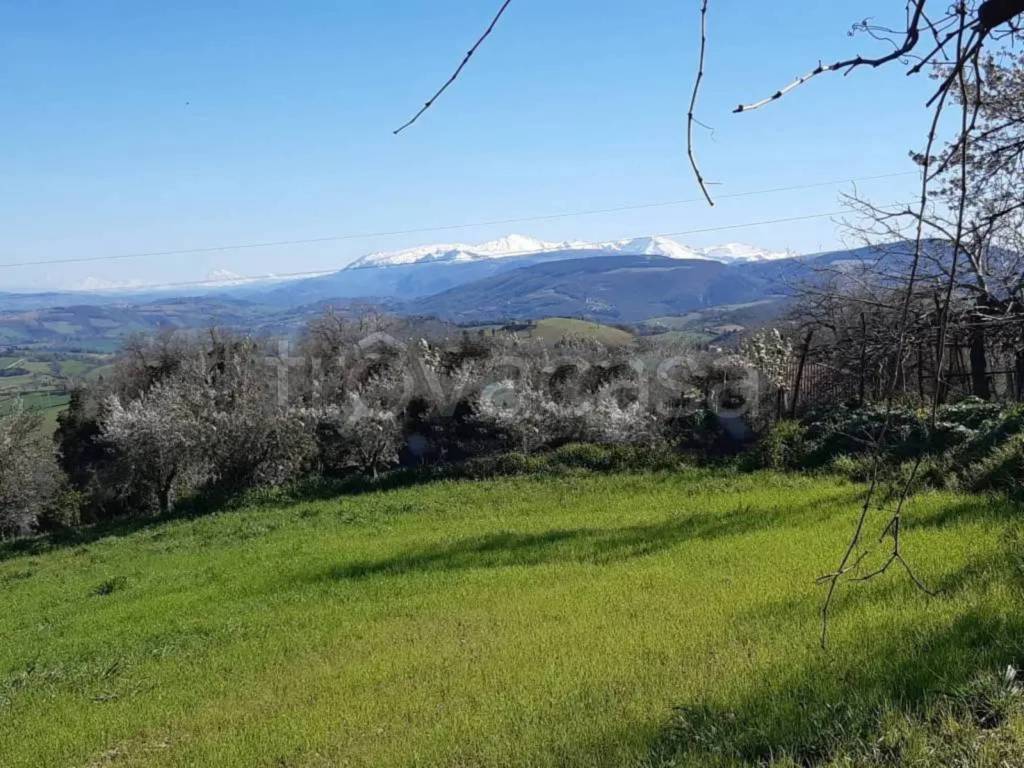 immagine annuncio 3 di 7