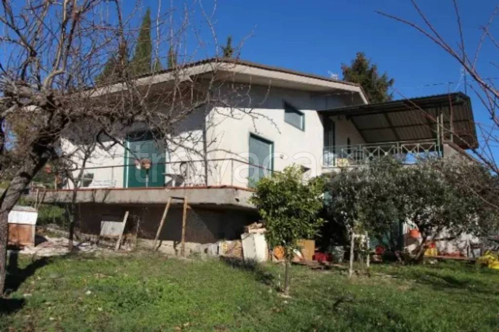 immagine annuncio 2 di 8