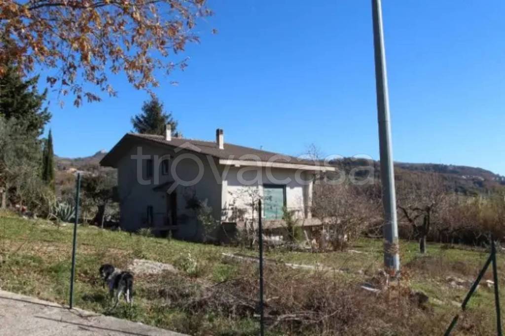 immagine annuncio 3 di 8