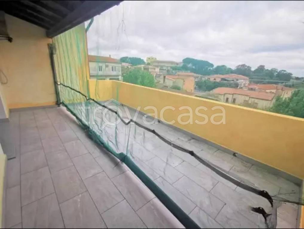 immagine annuncio 2 di 6