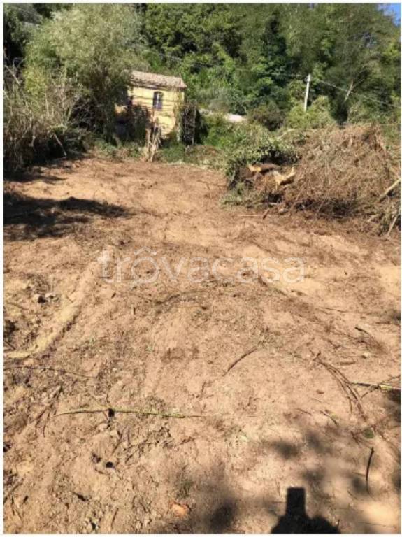 immagine annuncio 1 di 2