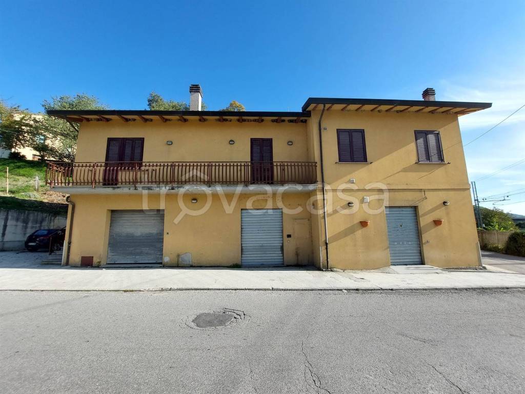 immagine annuncio 2 di 12