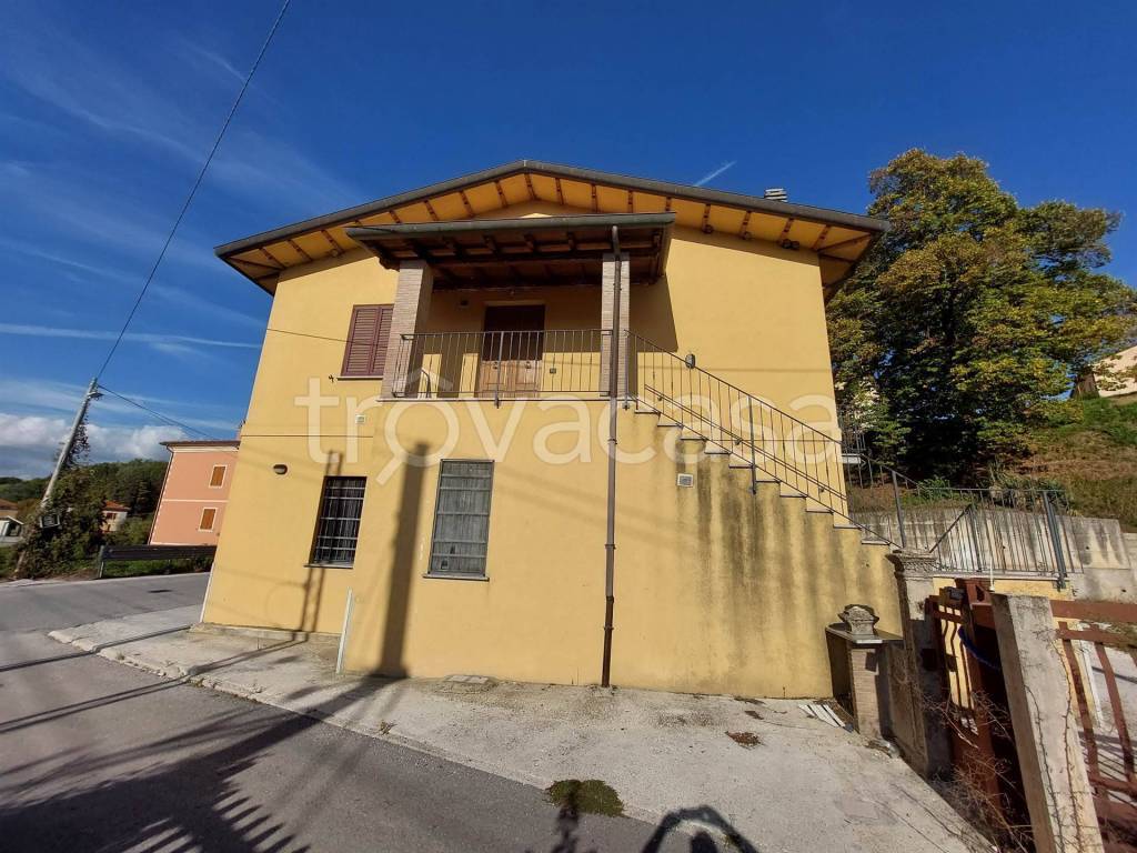 immagine annuncio 4 di 12