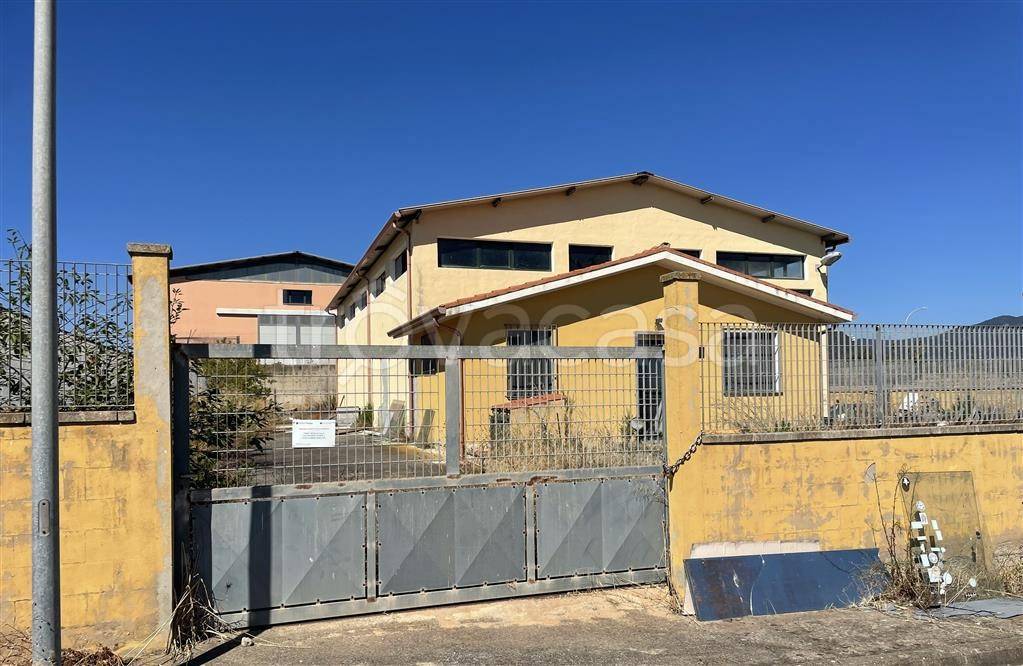 immagine annuncio 1 di 8