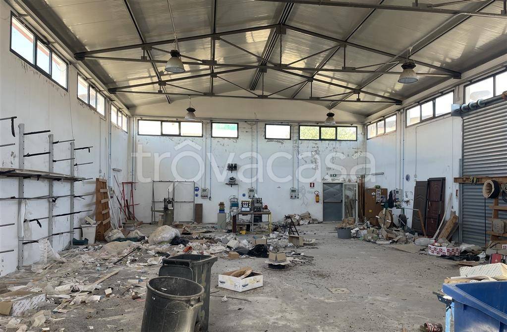 immagine annuncio 3 di 8